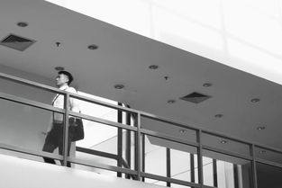 顶级安全评级的记录，这款SUV只适合高颜值奶爸？